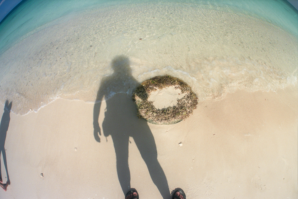 Lonely beach